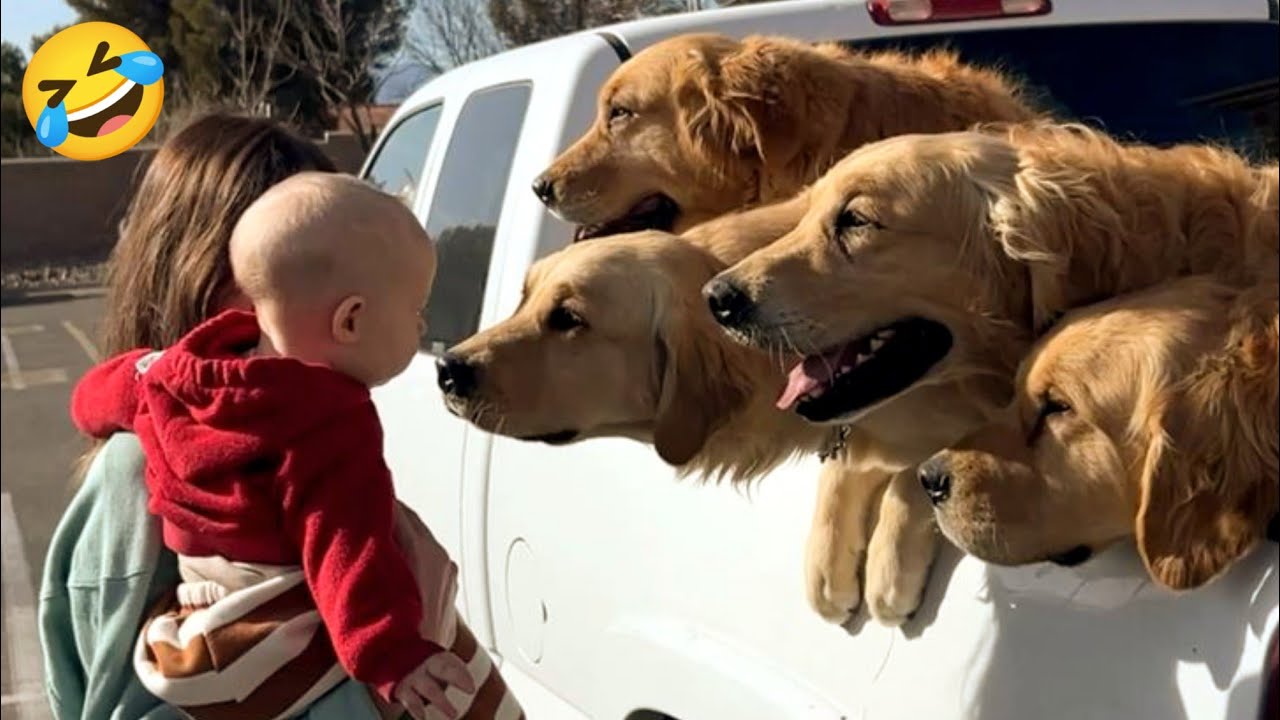NEW Funny videos of CATS🐱 and DOGS🐶 Best funny videos of ANIMALS 🤣2025