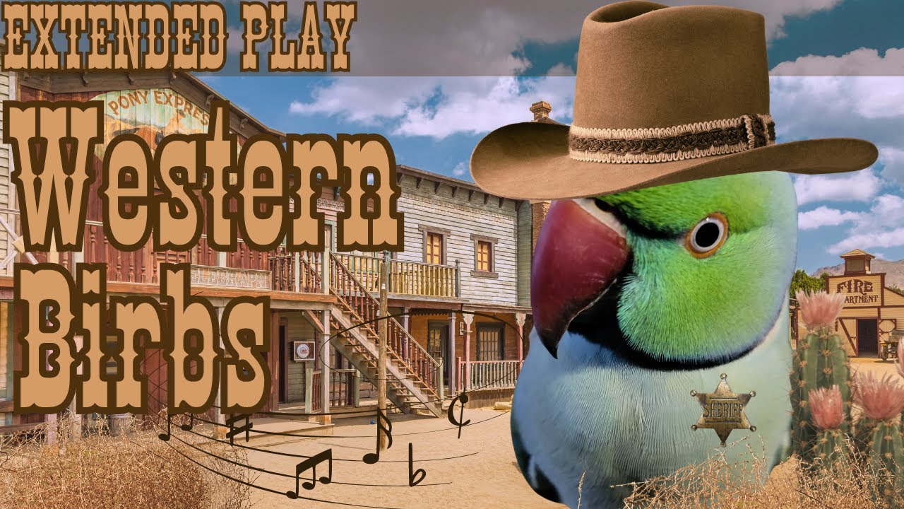 Western Birbs | Country Music Mix for Birds | 7+HRS EXTENDED PLAY | Parrot TV for Your Bird Room🤠🎶