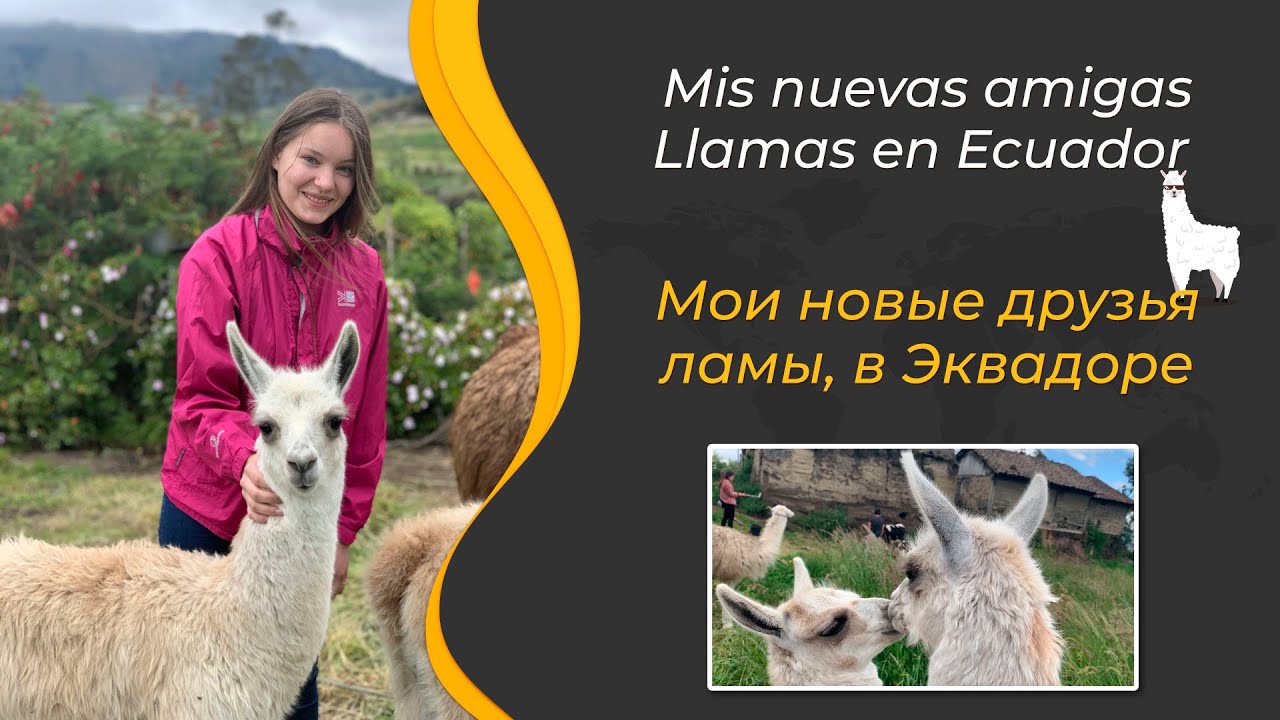 🥰 Tisaleo - Ecuador | Ruta AGRO TURÍSTICA🍃 / Эквадор 🇪🇨 агротуристический маршрут, Тисалео