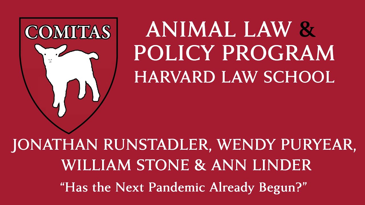 Has the Next Pandemic Already Begun?