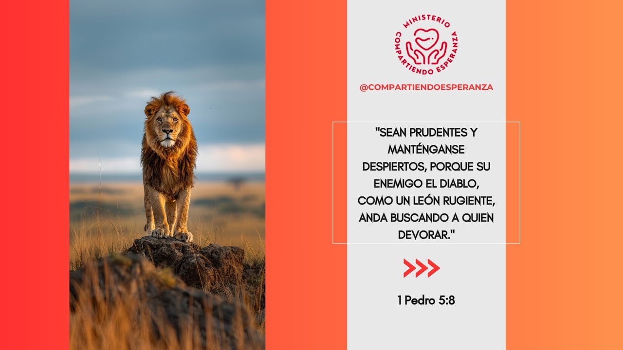 Un chapuzon | Compartiendo Esperanza #1511 