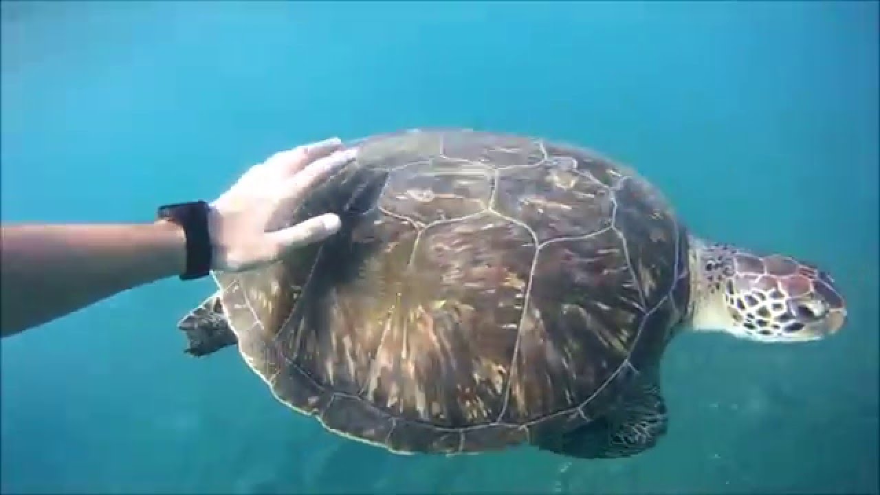 GoPro_Adam Ilyuk_World is Beautiful_Water World_Fantastic World!!!