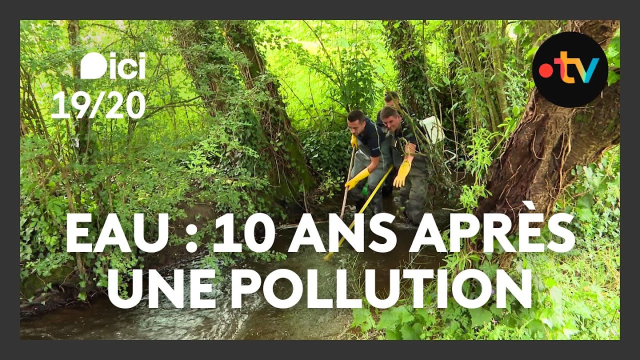 Après la pollution, la reconstruction