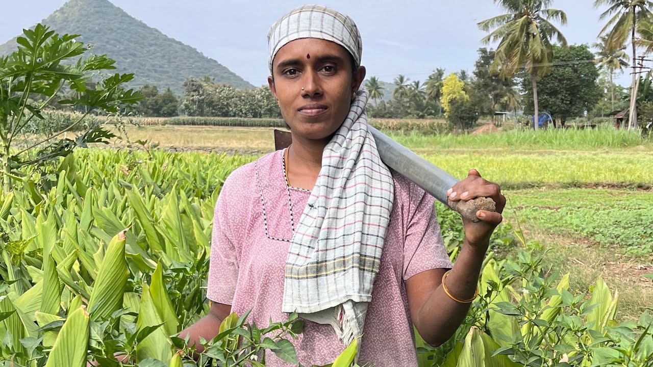 இயற்கை விவசாயத்தில் சாதிக்கும் பெண்மணி #villagelife #vivasayam #agriculturelife #tamilfarmer #agri
