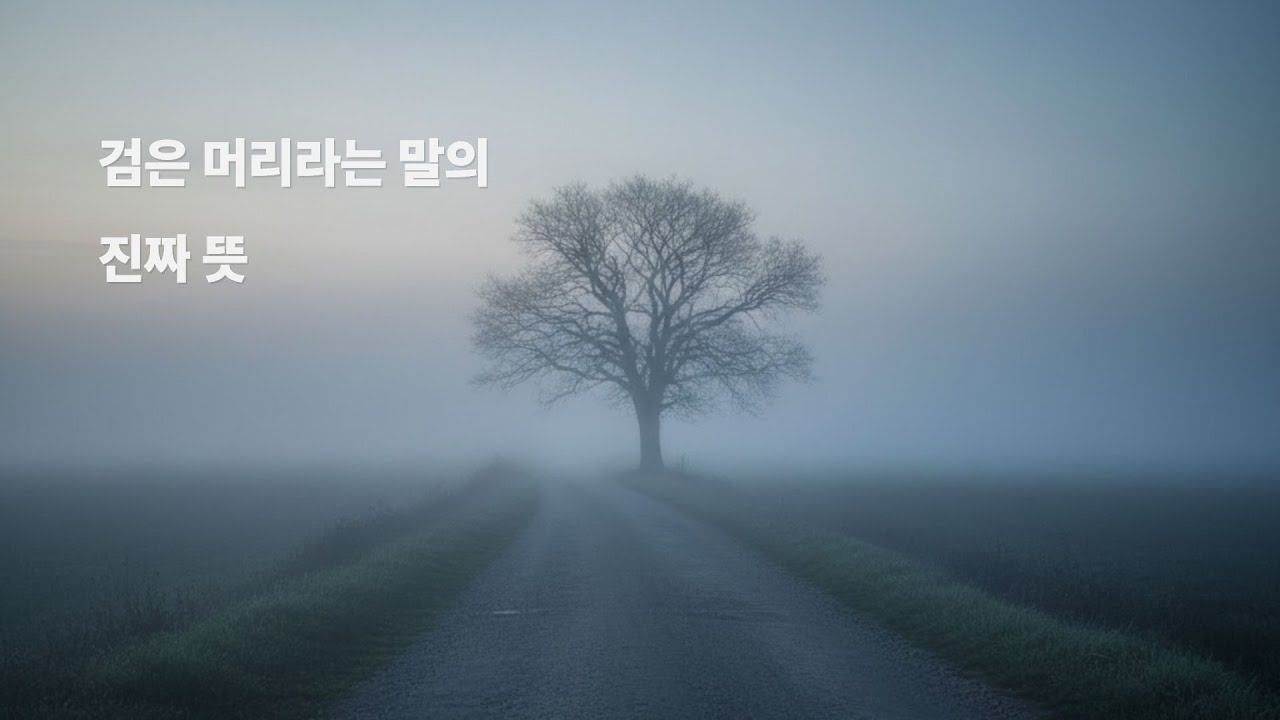검은 머리라는 말의 진짜 뜻 | 가족을 위해 살아온 사람의 이야기