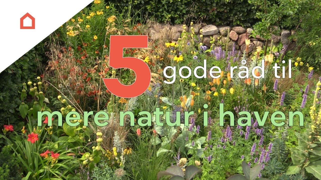 Sådan får du mere natur i haven: 5 gode råd