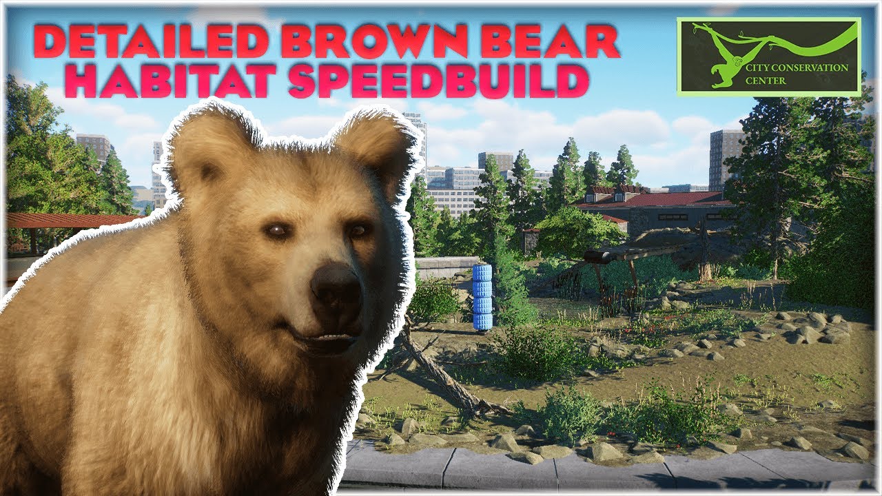 Bearing with the Details! Himalayan Brown Bear Habitat | City Conservation Center