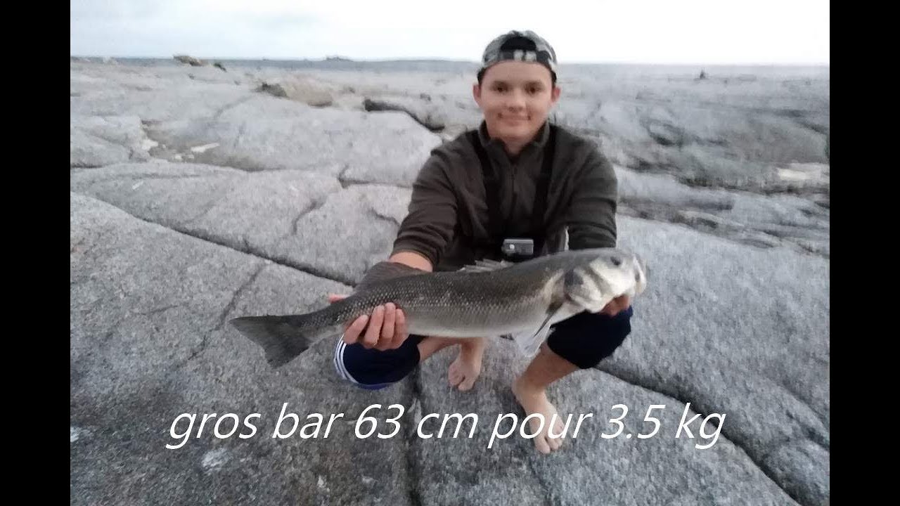 PECHE D'UN GROS Bar 3.5kg / Surfcasting