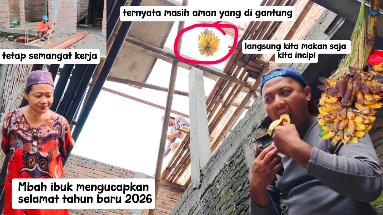Selamat tahun baru pemirsa semua, ayuk kita mau lihat pisang gantung bagaimana apakah jatuh