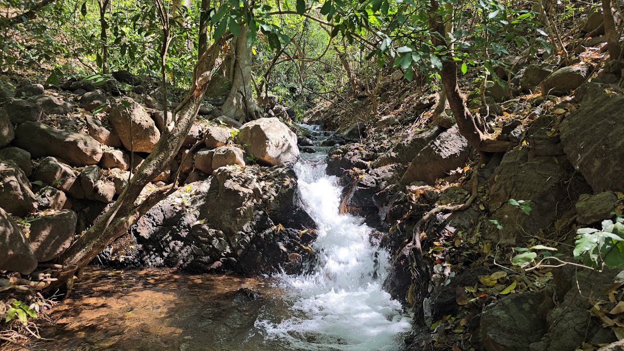 Impresionante Manantial de Aguas Cristalinas 