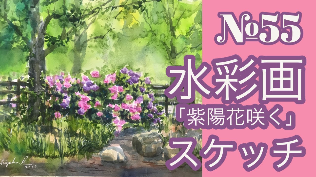 №055 透明水彩スケッチ「紫陽花咲く」（鶴見緑地）黒川しづこ Watercolor Tips