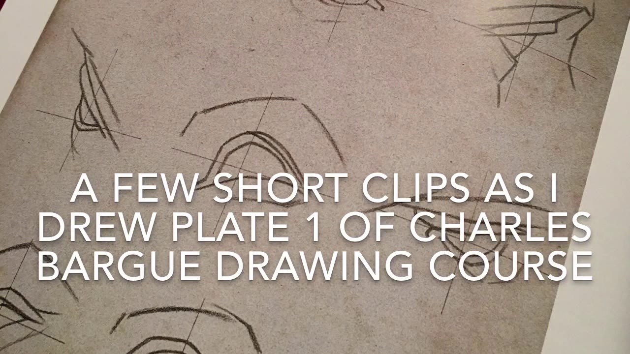 Bargue Plate 1: Drawing Some Eyes