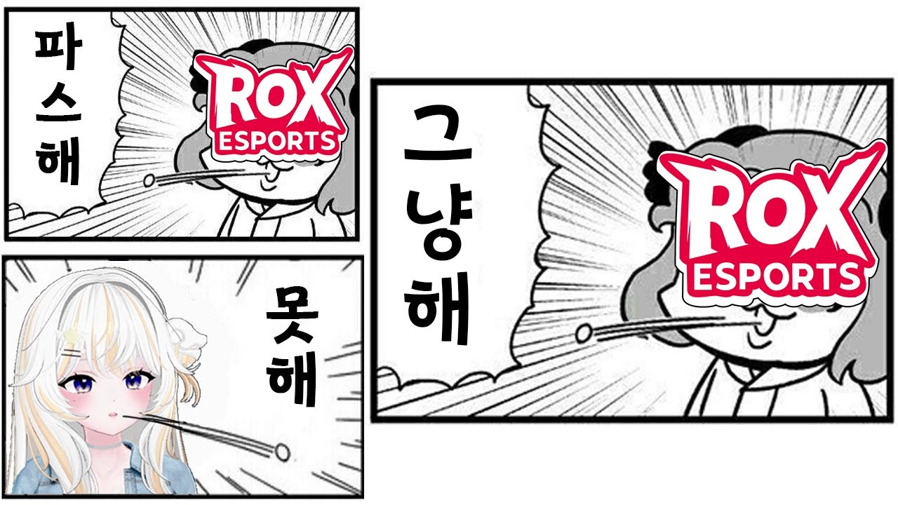 성남 ROX 파트너 스트리머가 되었습니다..?