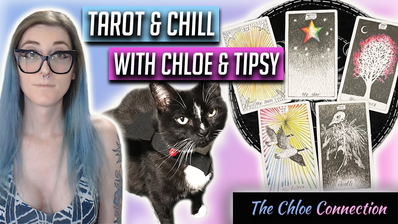 Livestream with Chloe & Tipsy: Tarot, Chat, & Hang Out | The Chloe Connection