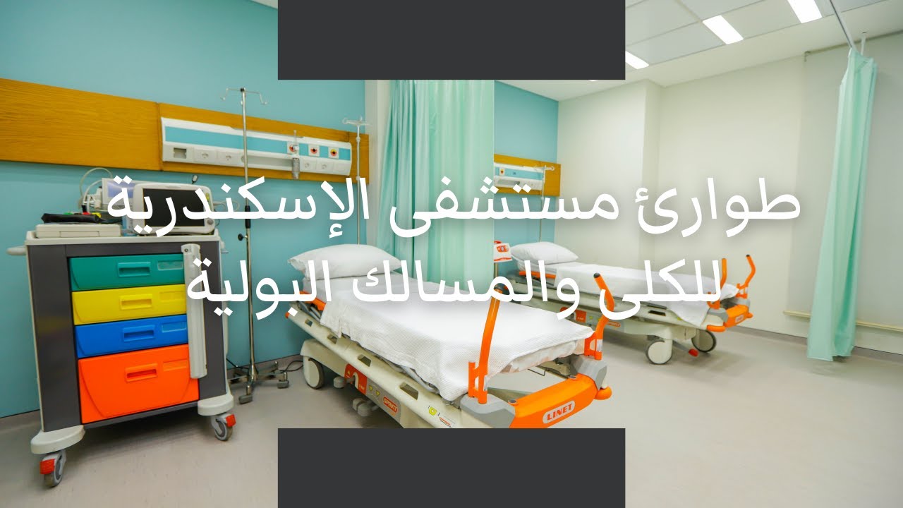 طوارئ مستشفى الإسكندرية للكلى والمسالك البولية | أحدث التجيهزات | طاقم طبي متكامل | غرف عزل مجهزة