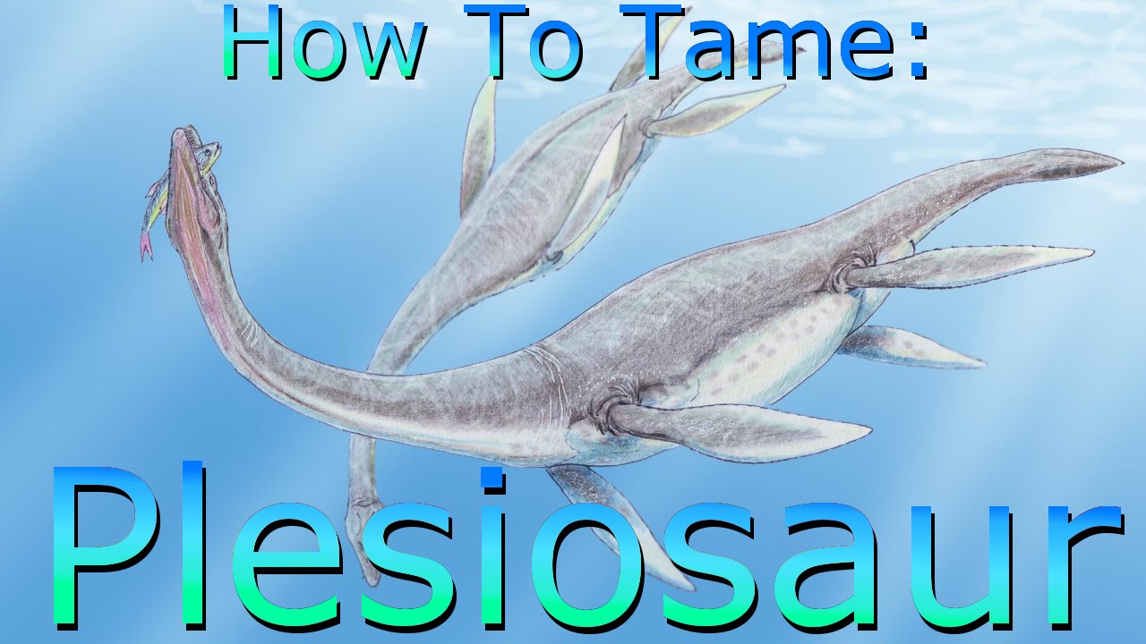 How To Tame A Plesiosaur - ARK: Survival Evolved