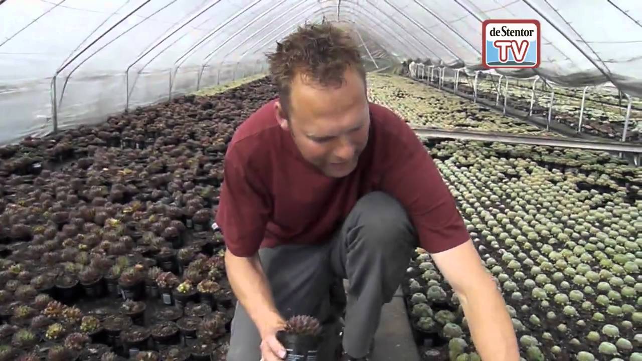 Kwekerij Overmars heeft unieke sproeier