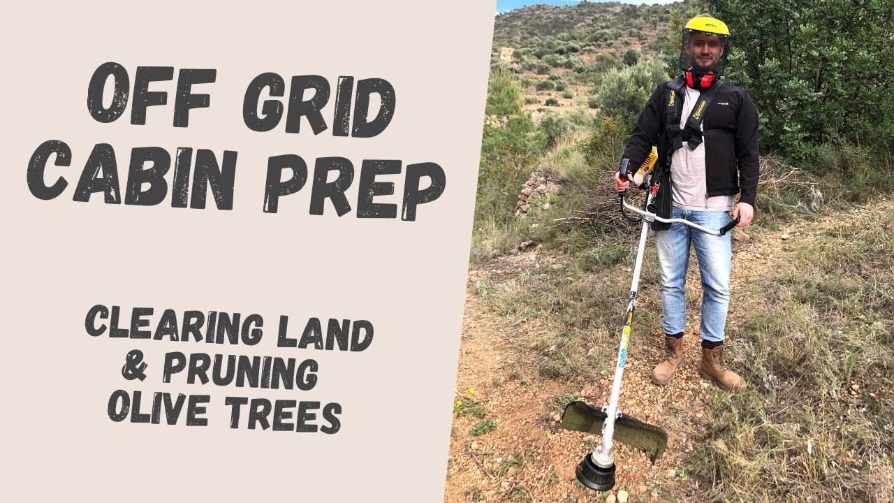Clearing Land to Build an OFF GRID CABIN | Homestead in Spain | V.12