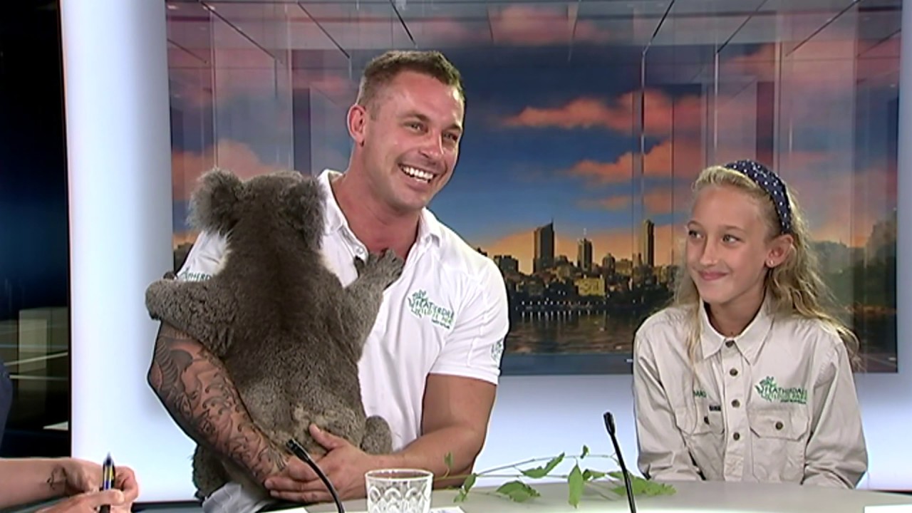 Featherdale WIldlife Park's Zookeeper Chad on ABC Weekend News