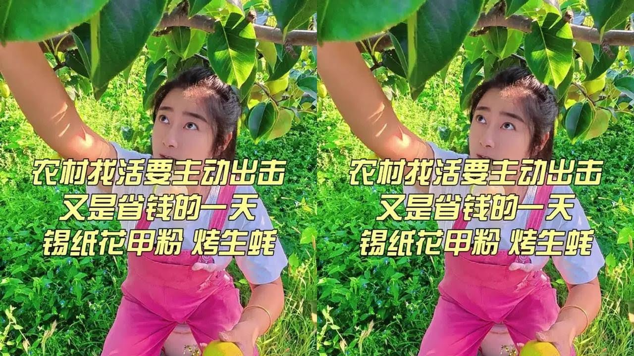 潇洒一天是一天～#我的农村生活 #农村美食#农村吃货日常 #锡纸花甲粉 #烤生蚝