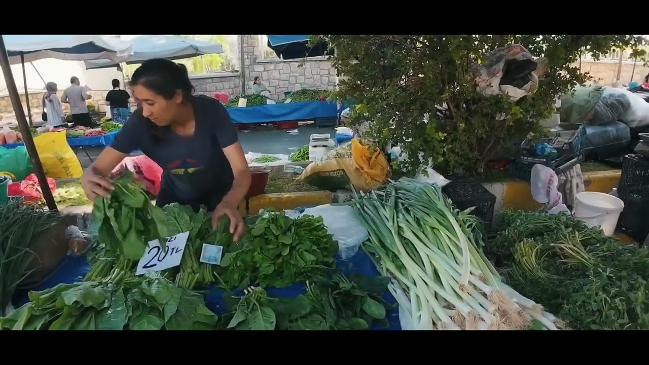 AYDIN // ORTA MAHALLE SEMT PAZARI