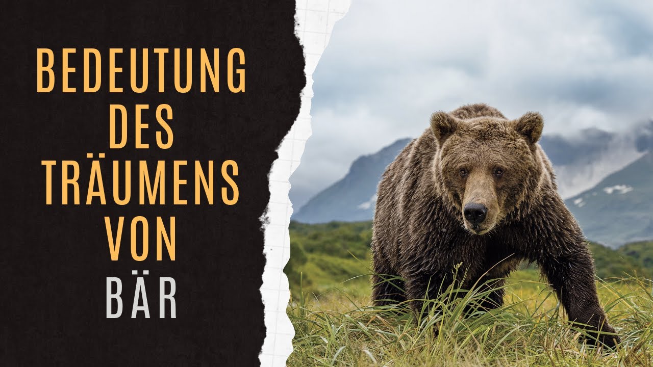B&auml;r Traumdeutung | Bedeutung Von B&auml;r Im Traum | Symbolik Von B&auml;r | Traumlexikon B&auml;r