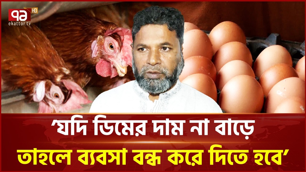 লোকসানে ডুবে যাচ্ছে প্রান্তিক পোল্ট্রি খামার | Poultry Business | Ekattor TV