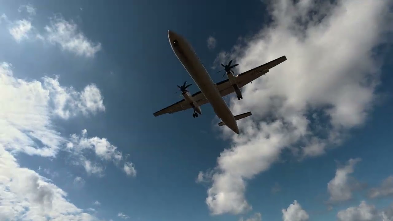 251117【与那国空港穴場！飛行機着陸見学】02