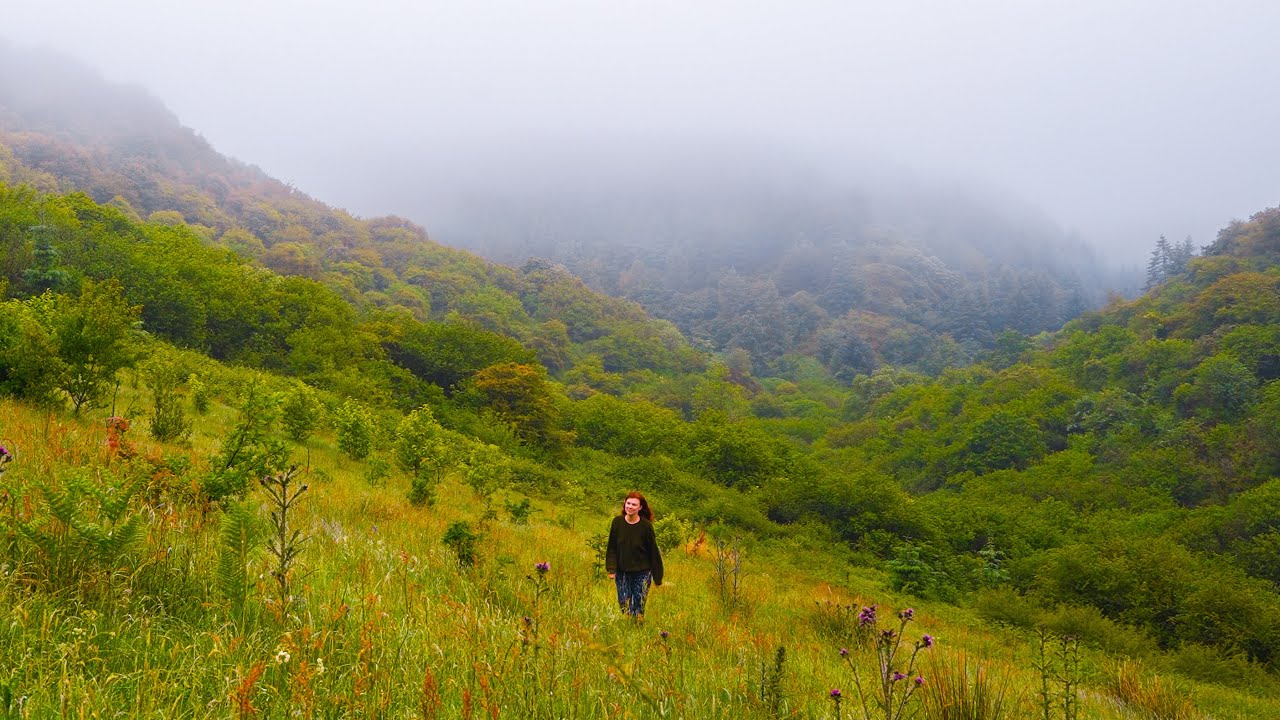We moved to a remote Welsh valley | no electricity or running water but lush Celtic rainforest!