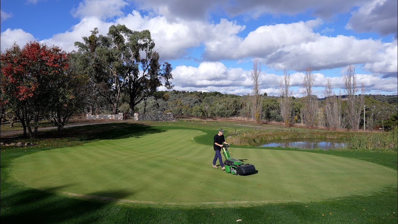 You should be Spraying Liquid Fert