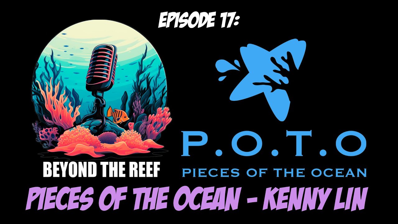 Episode 17: Pieces Of The Ocean (Kenny Lin)
