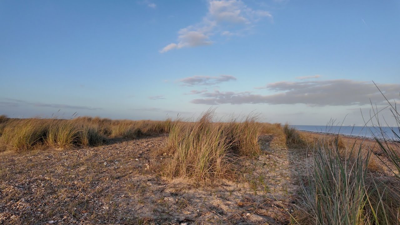 Wybrzeże Essex — dzikie tereny