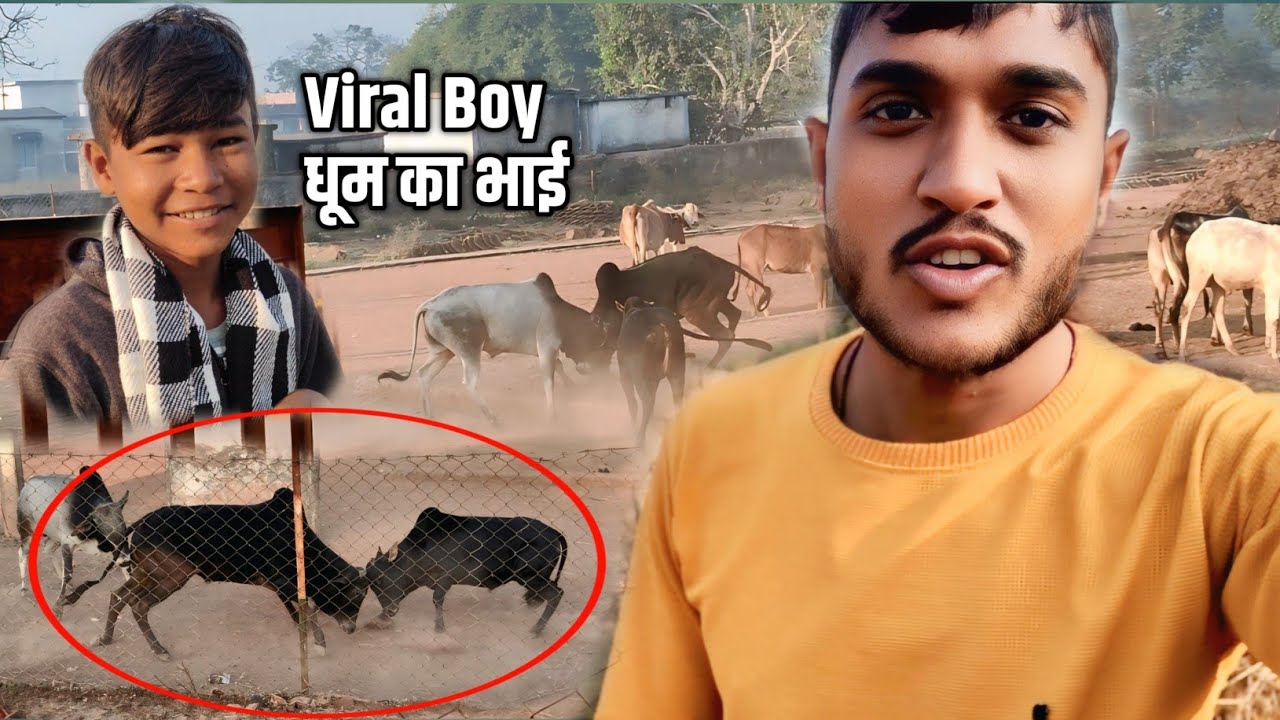 आज फिर लड़ाई हो गया 🤩|| #viral #trending #vloggerbhai #dhoom 