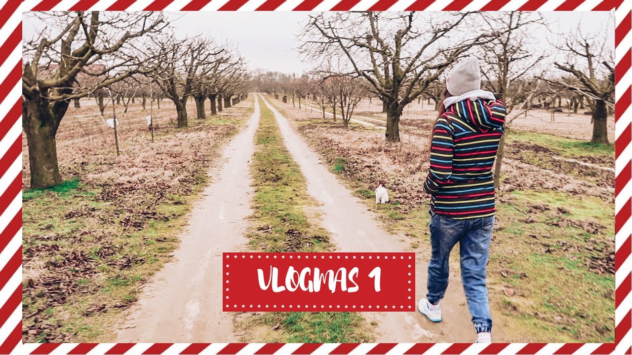 🎄PIERWSZY GRUDNIOWY SPACER - VLOGMAS #1 🎄