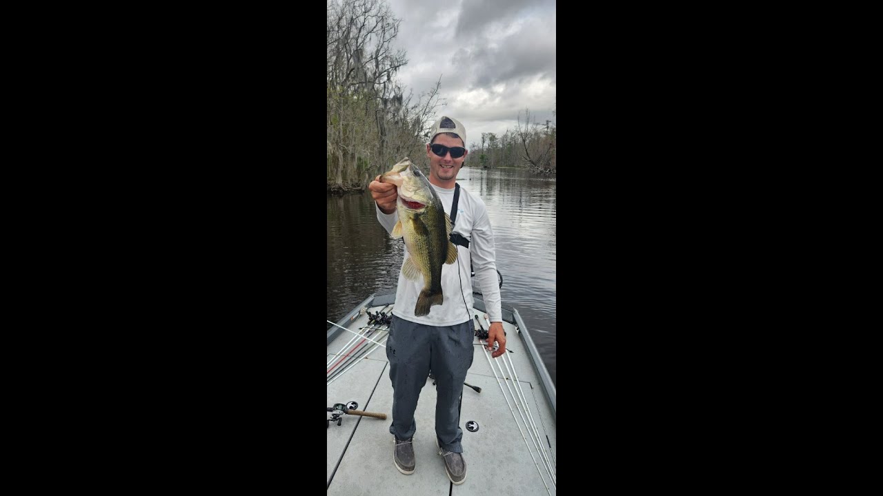 Topwater BLOW UP BONANZA !! Bayou Black Bass Fishing