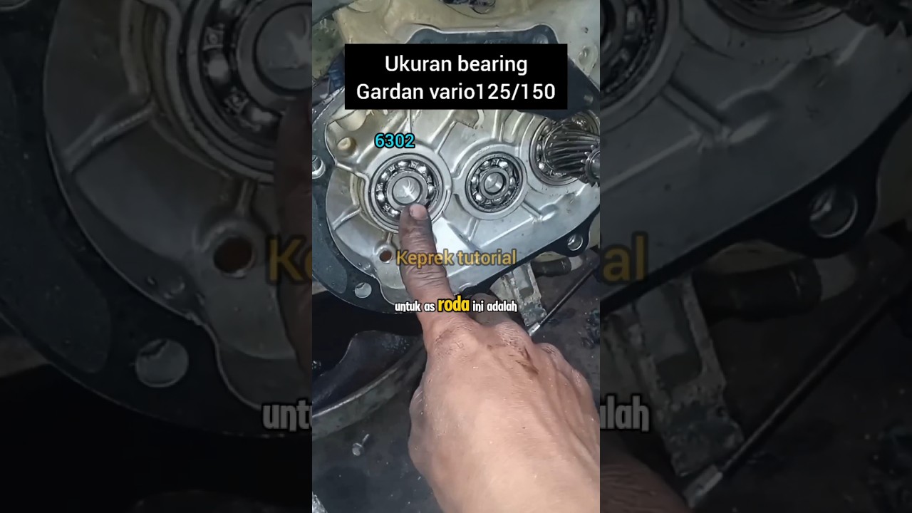 INILAH UKURAN BEARING GARDAN VARIO 125,150 DAN PCX#shorts