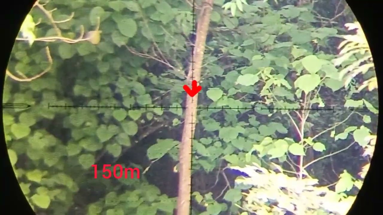 phoenix compact pcp part2,108m to 150m using FPS slug's 24.6gr rain or shine