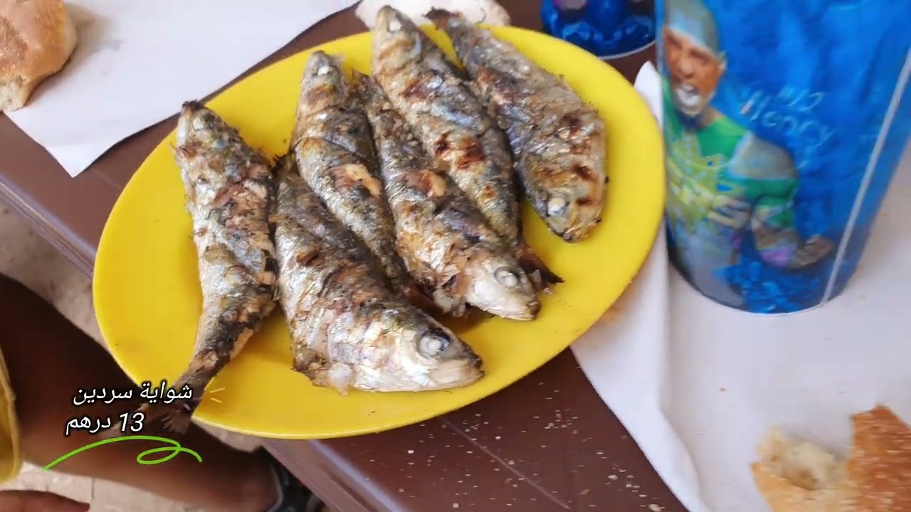 عودة إلى شاطئ سيدي عابد بجوار الوالدية .  أثمنة كراء الفيلات . retour plage  sidi abed - oualadia