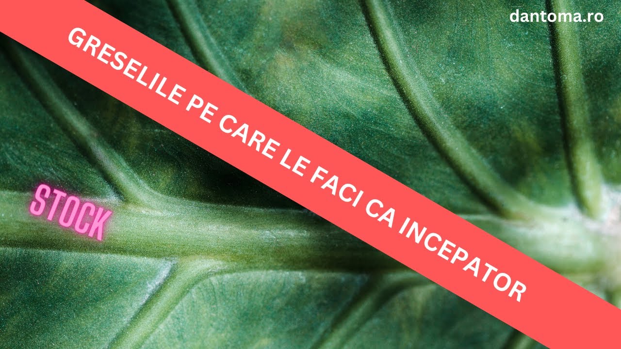 CE GRESELI FACI CA INCEPATOR IN TRADE ...SI CUM TE POTI CORECTA