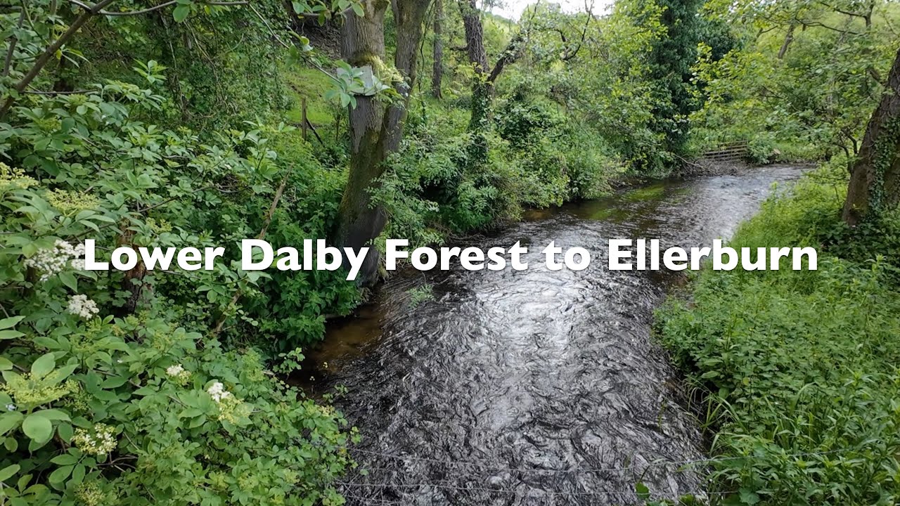 Pickering Circular Walk - Stage 4 | Senior Hiking Walk & Chat - North Yorkshire English Countryside
