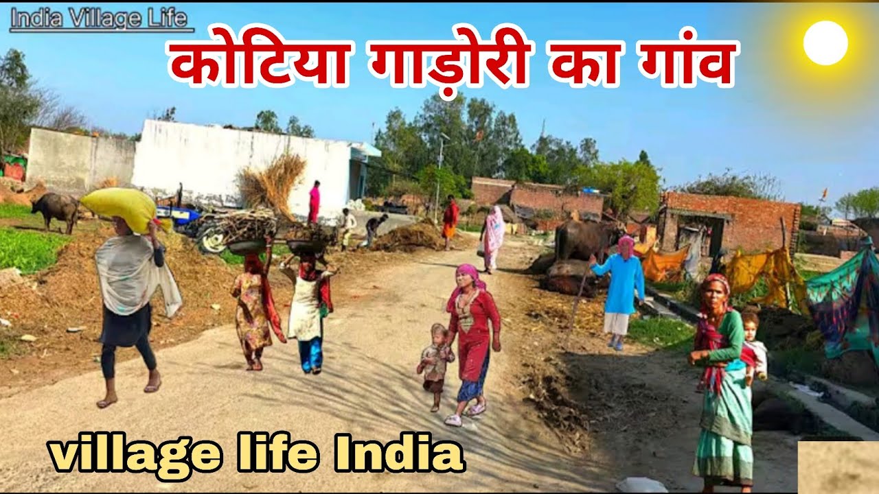 देखिए भाई कोटिया गड़ोरी का गांव kotiya gadori Ka Gaon Siddharth Nagar #villagelifeIndia 