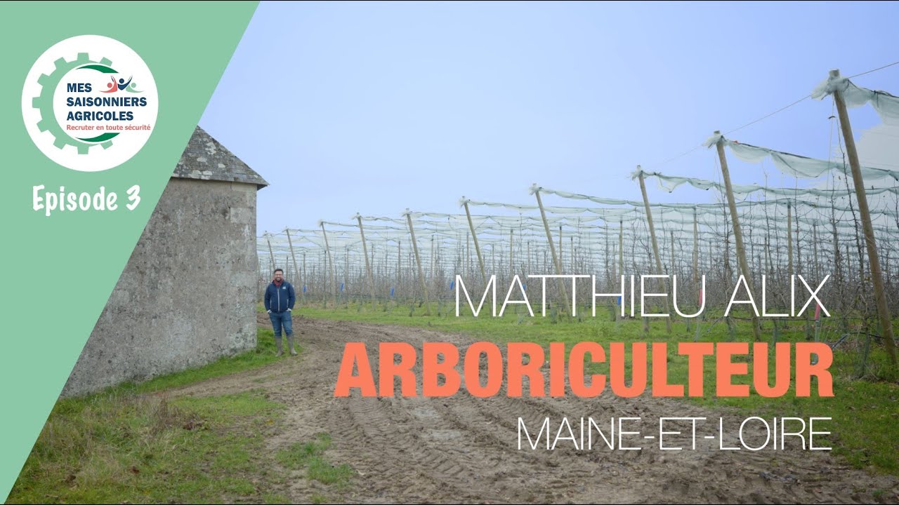 Episode 3, Mes saisonniers agricoles - Matthieu Alix, arboriculteur, Maine-et-Loire