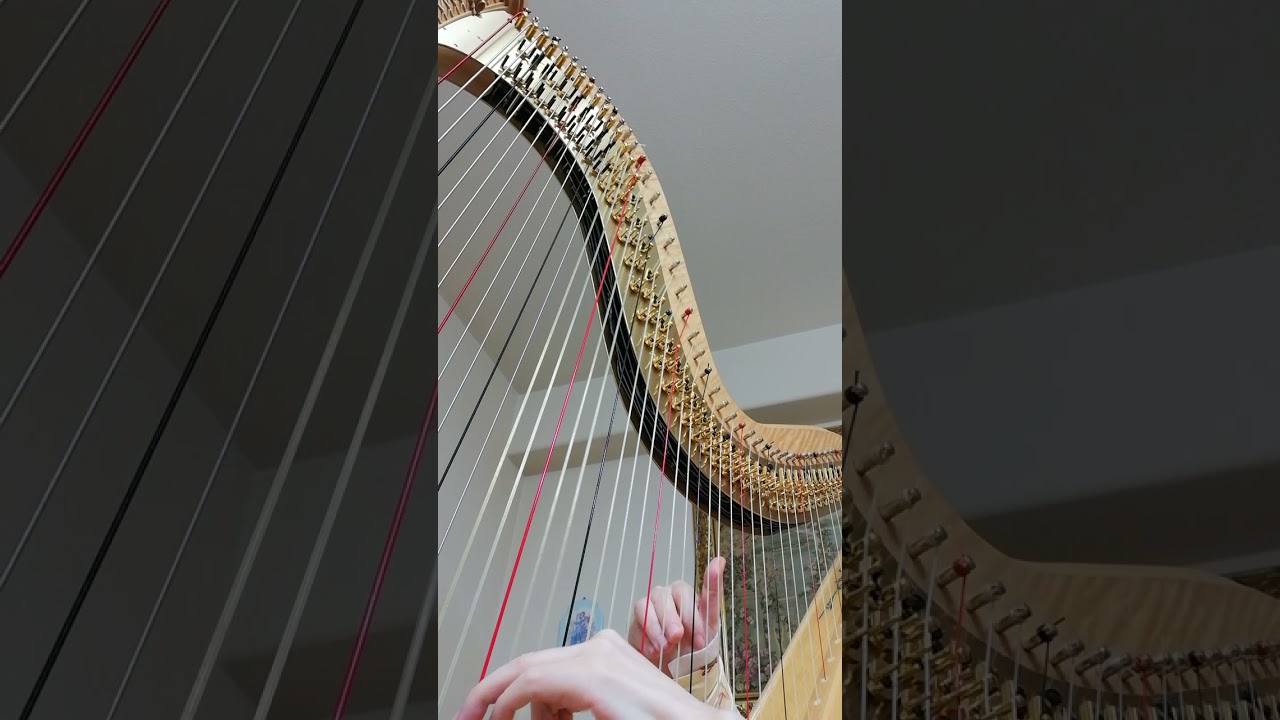 Sonatina No.6-1st mvt by Dussek on the Harp