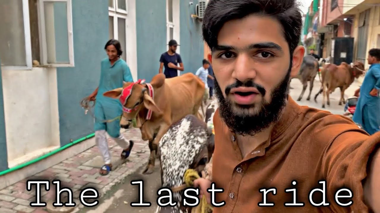 Last day with animals 😥 || eid ul adha || Sufyan tariq Official