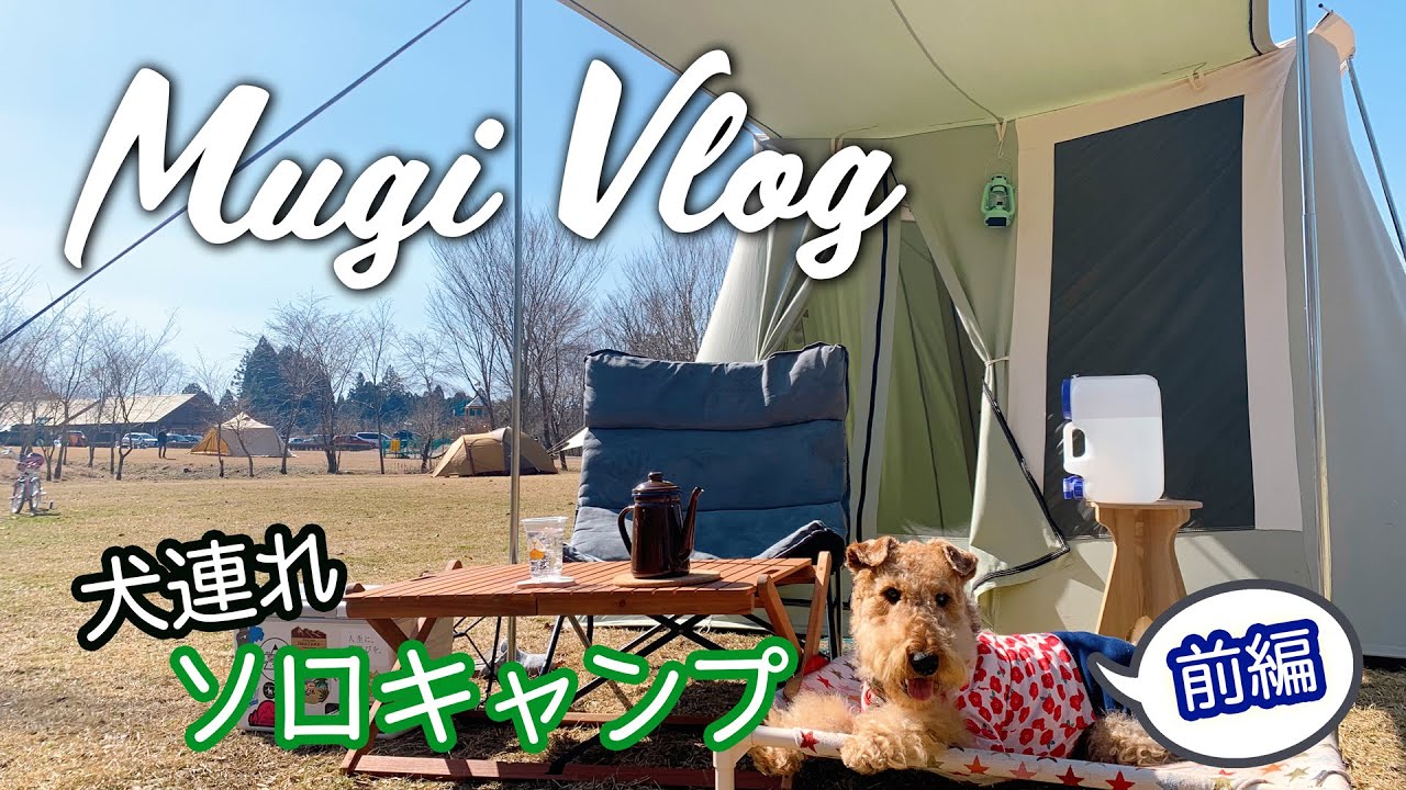 犬連れ ソロキャンプ 服掛松キャンプ場【前編】mugiVlog01