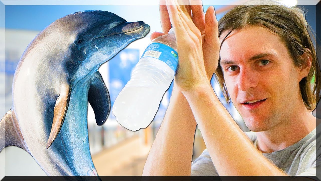 THE BEST DOLPHIN FLIPPER AT BRAILLE?! Ft. Uzi Dan