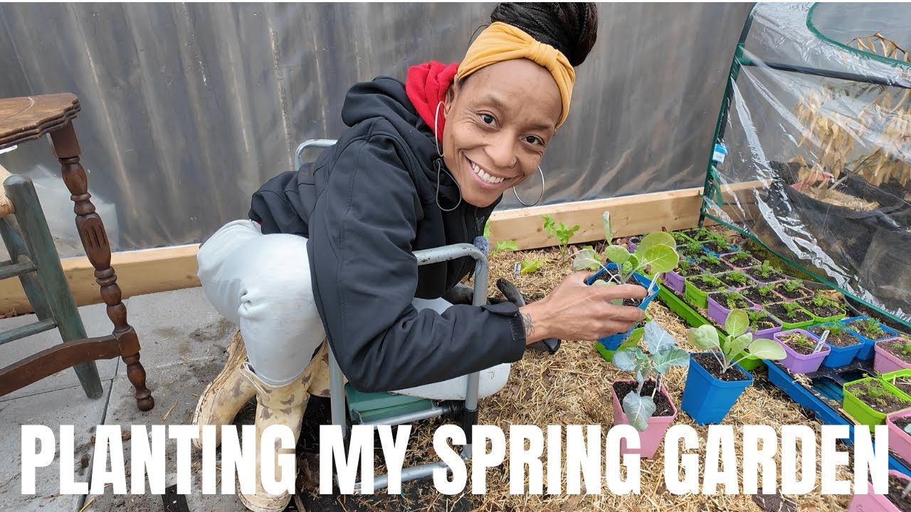 Spring Me Please (11) | What Am I Planting Under Cover NOW | Best Onion Starts | Virginia, Zone 7B