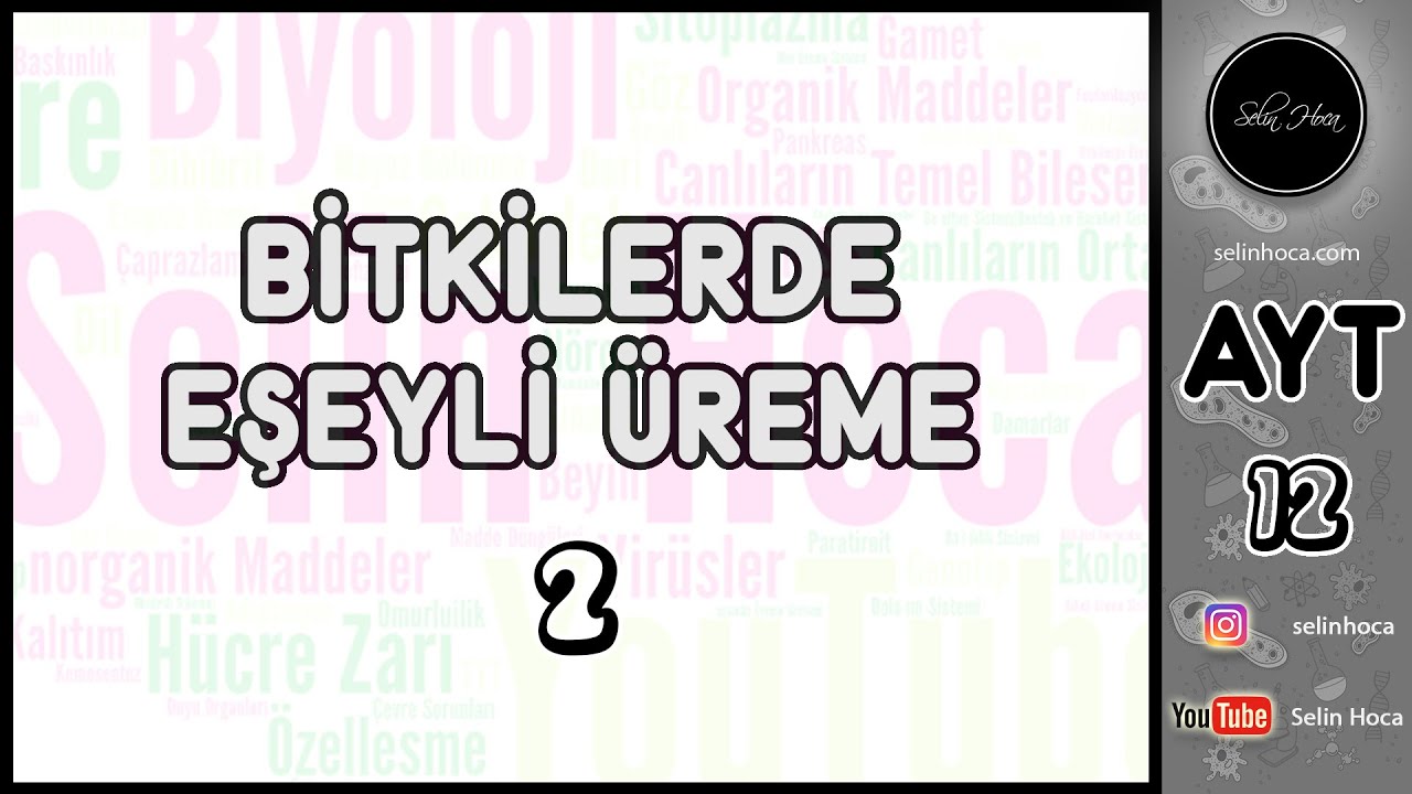 26) Bitkilerde Eşeyli Üreme 2 (Tozlaşma - Tohum - Meyve - Çimlenme)