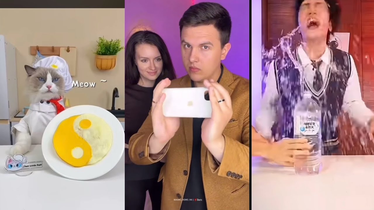 pam tiktok funny video 