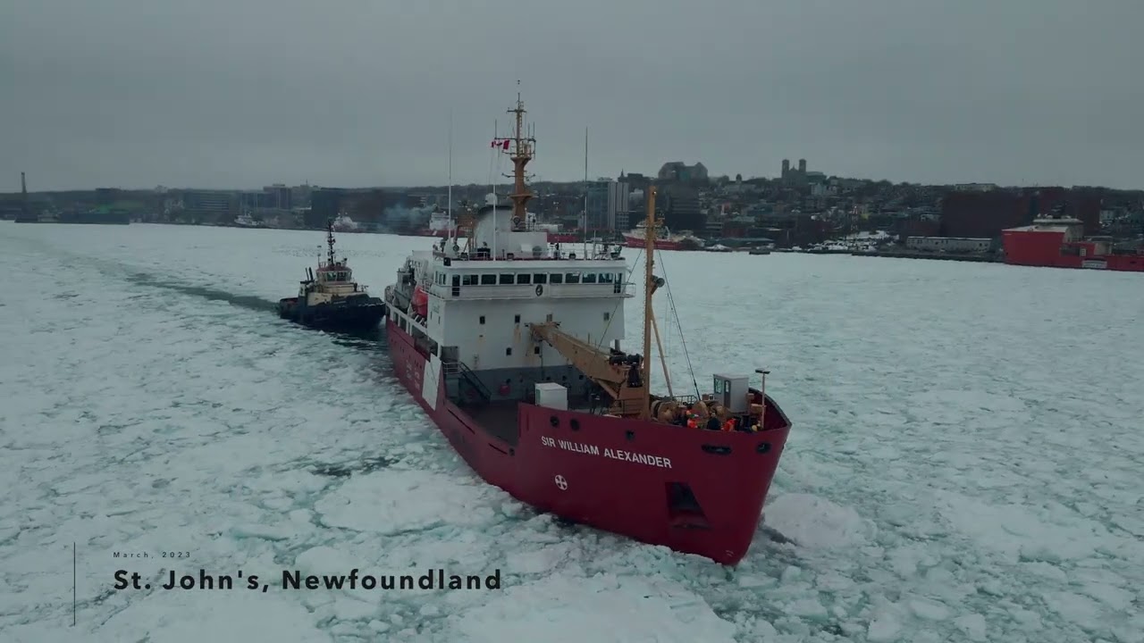 St. John's Harbour, 2023